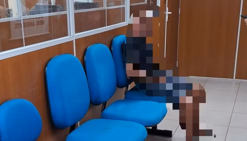 Idoso é preso suspeito de agredir cachorro com panela de pressão em São Luís; crime foi registrado por moradores