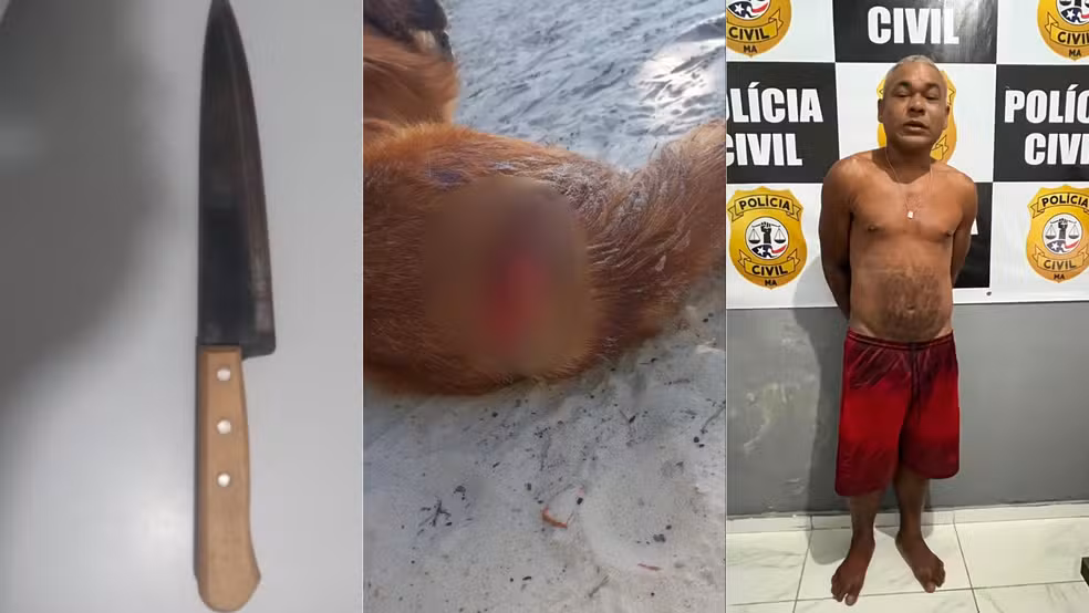 Homem condenado por esfaquear cães e ameaçar tutores é preso em Axixá