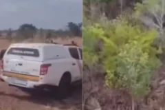 Ossada é encontrada em área de mata na zona rural de Balsas